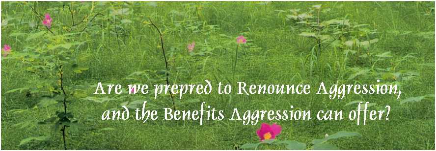 Forest vegetation with wild flowers.